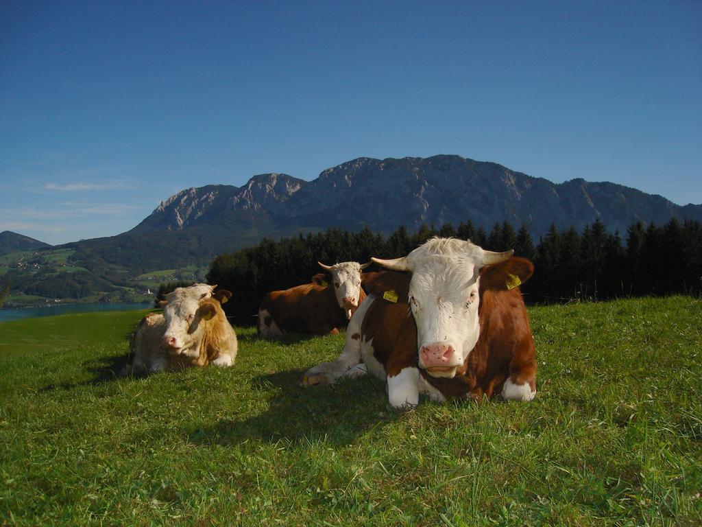 Ferienhof Margarethengut Unterach am Attersee Exterior foto