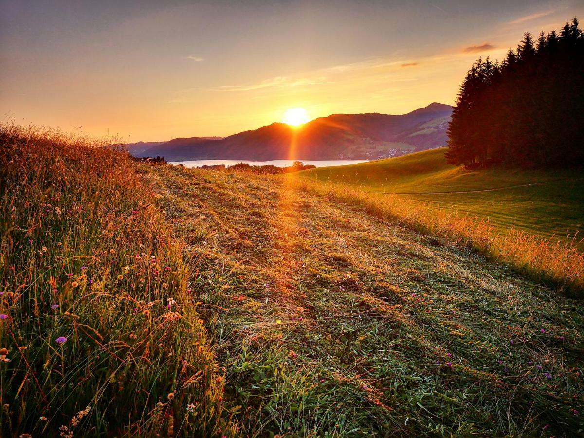Ferienhof Margarethengut Unterach am Attersee Exterior foto